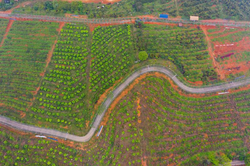 农业生产与休闲观光为一体(图1)