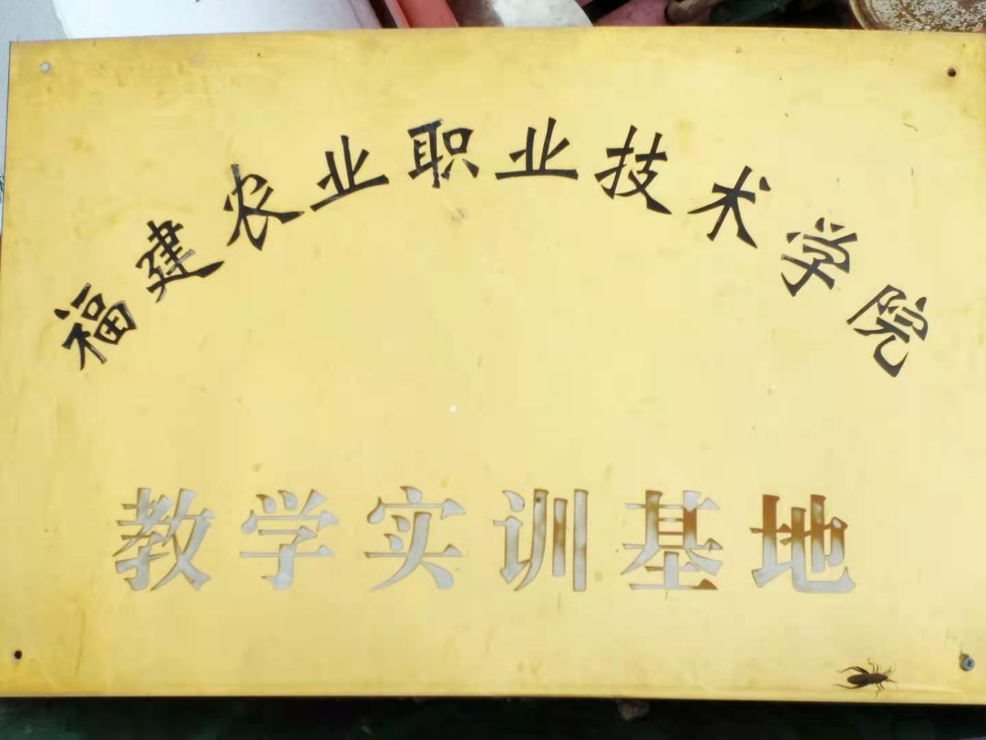 公司被授予福建省休闲农业示范点(图2)