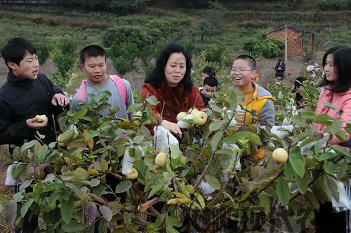 推进闽台农业合作 打造现代精品农业(组图)(图2)